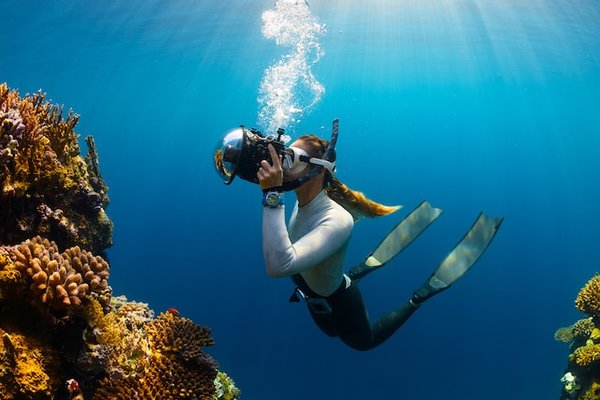 Où séjourner pour des vacances de plongée sous-marine avec des cours de photographie sous-marine en Égypte?